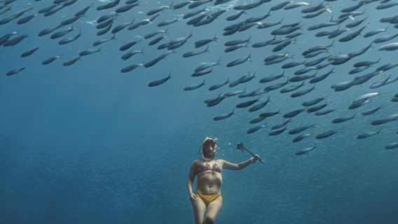Pengalaman Moalboal Sardine Run & Canyoneering Air Terjun Kawasan