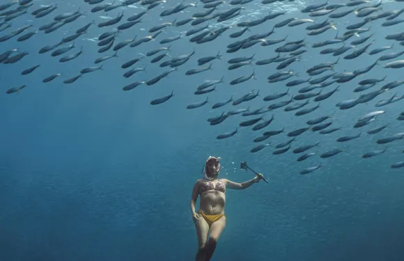 莫阿爾博阿爾沙丁魚群及卡瓦山瀑布峽谷探險體驗之旅