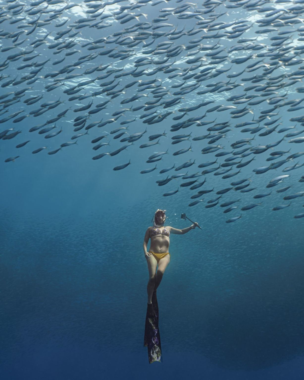 Moalboal Sardine Run & Kawasan Falls Canyoneering Experience