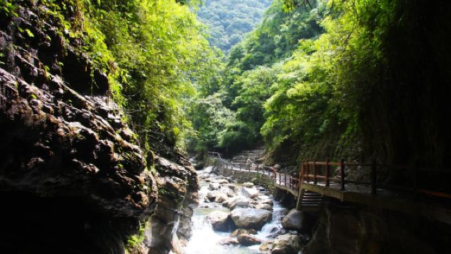 重慶黑山谷風景區一日遊【2-6人包車遊+含門票+上門接駁】