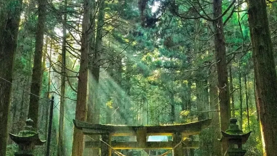 福岡日遊
