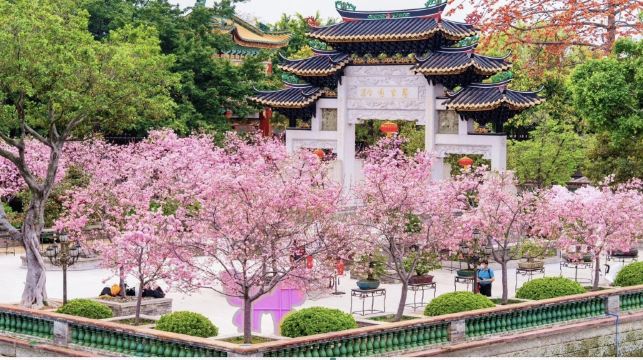 廣州番禺寶墨園+順德清暉園博物館+逢簡水鄉一日遊|私家小團上門接送