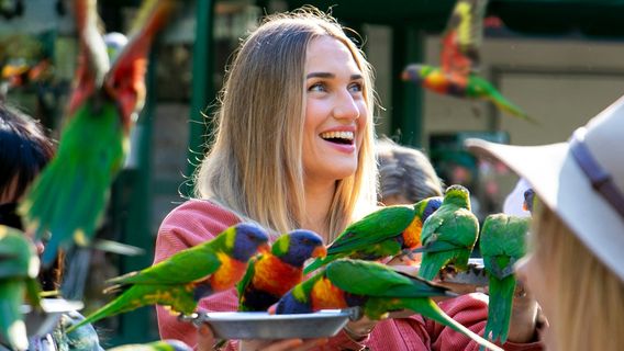 Gold CoastTours