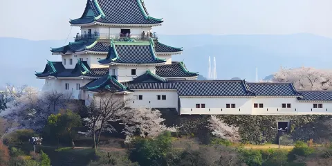 日本大阪出發:和歌山城+貴志站+千疊敷+三段壁一日遊
