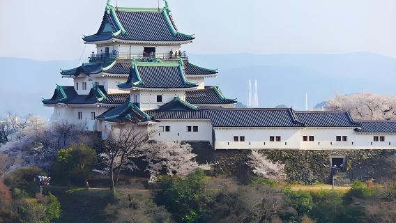 日本大阪出發：和歌山城+貴志站+千疊敷+三段壁一日遊