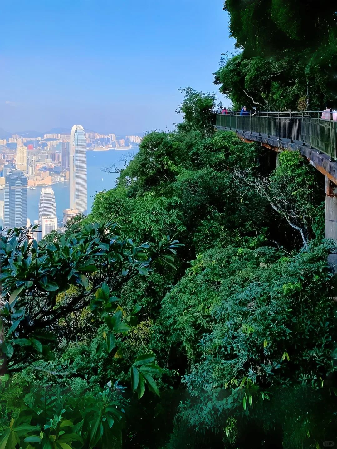 Hong Kong Observation Wheel + Victoria Peak + Victoria Harbour Scenic Tour [6-hr Private Charter - Customizable Itinerary]