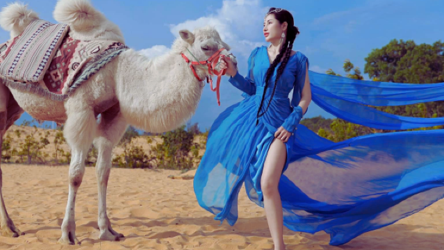 베트남 호치민시 + 무이네 어촌 마을 + 붉은 모래 언덕 + 흰 모래 언덕 + 페어리 스트림 일일 투어