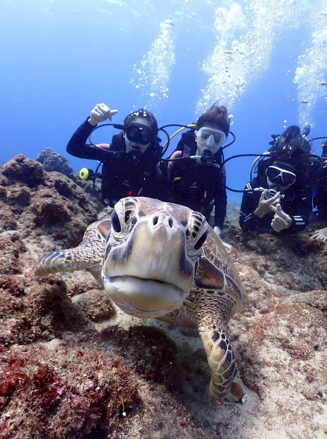 2-Hour Scuba Diving Experience at Lambai Island, Pingtung [Limited Offer | Little Turtle at Little Lambai]
