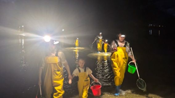 後海趕海半日遊 專業教練陪同帶領 配齊裝備 小朋友連身褲