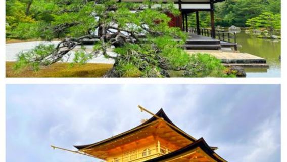 日本大阪-難波八坂神社-通天閣-心齋橋-道頓堀-經典購物
