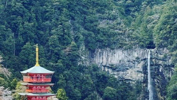 日本大阪+和歌山白濱溫泉+千疊敷一日遊/行程可調-可客製化多日