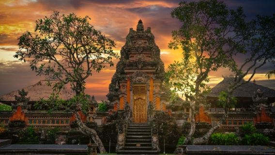 BaliPhương Tiện Đi Lại Tại Địa Phương