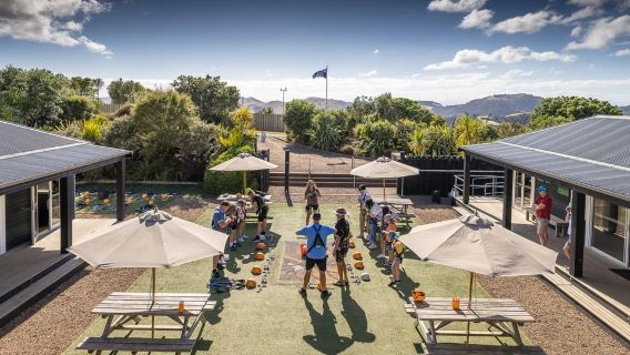 Isola di Waiheke: viaggio avventuroso tra zipline e foresta nativa