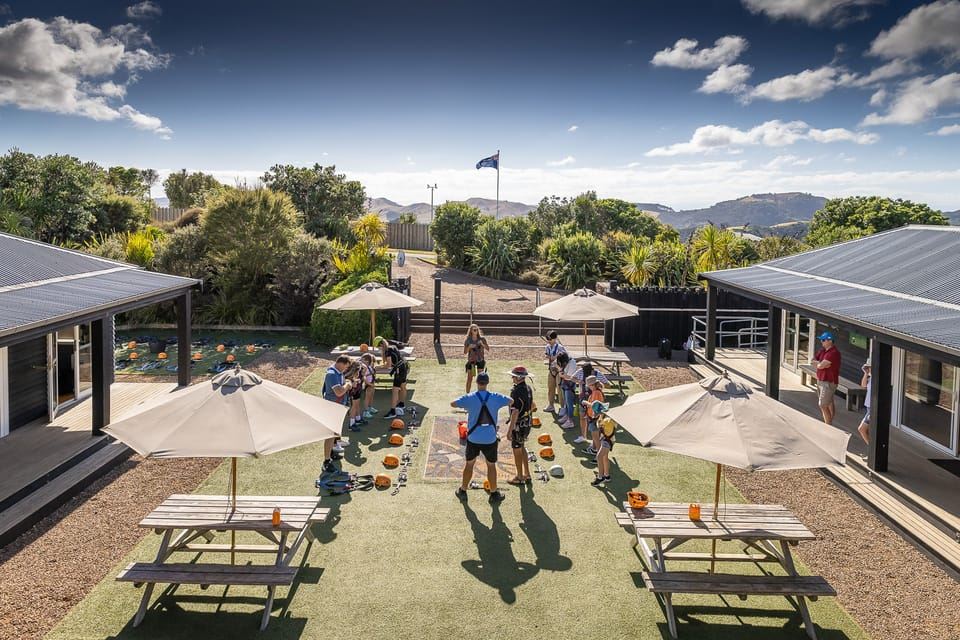 Waiheke Island: Zipline and Native Forest Adventure Trip