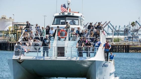 Long Beach: Whale and Dolphin Watching Cruise