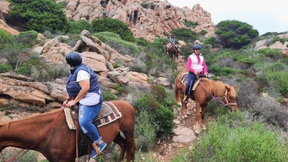 Depuis Palau : tour en minibus et balade à cheval à La Maddalena