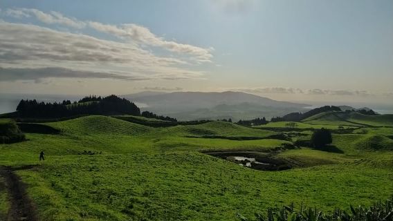 Ponta Delgada: Sete Cidades & Lagoa do Fogo Tour with Lunch