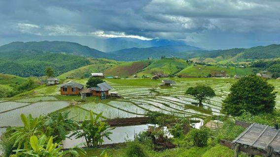 Чиангмай: невидимое место Дой Интанон, рисовая терраса и храм