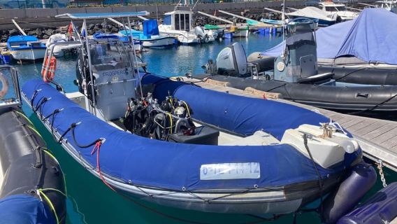 Tenerife: Snorkeling to look for Turtles and Rays