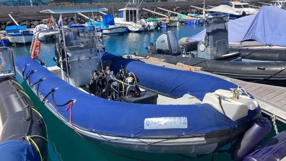Tenerife : plongée avec tuba à la recherche de tortues et de raies