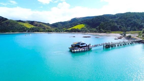 Auckland: Fähre Man O‘ War Vineyard (Waiheke Island)