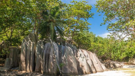 Praslin: crociera di un giorno intero alle isole Sister e Coco e barbecue creolo