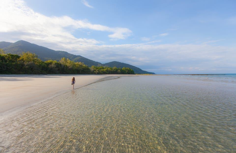 จากแคนส์: ทัวร์รถบัส Daintree Wilderness และ Cape Tribulation