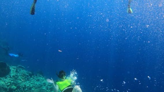 Dominica: Chasing Waterfalls and Snorkeling Experience