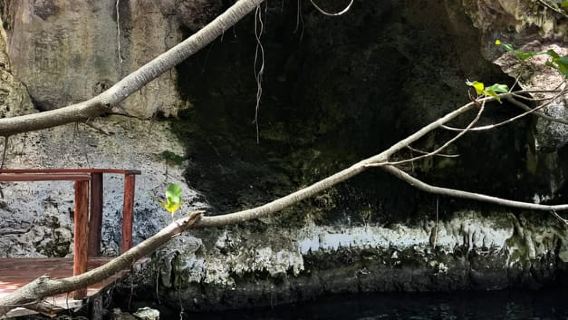 Zanzibar: Maalum Cave Natural Swimming Pool Tour in Paje