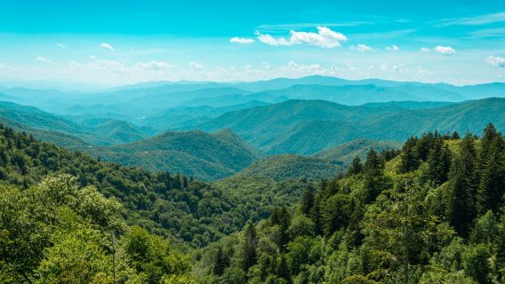 Pigeon Forge : visite guidée des sites des Smokies