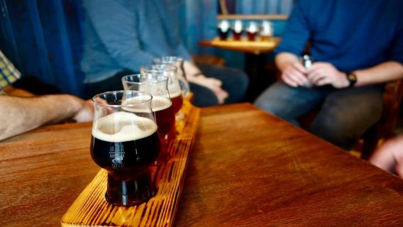 Berlino: tour guidato della birra artigianale e culturale con snack