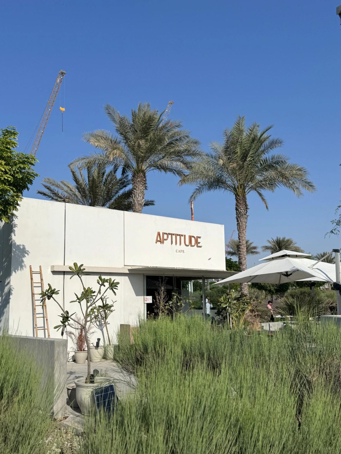 Aptitude Cafe & Eatery, ristorante popolare ad Abu Dhabi, Emirati Arabi Uniti, servizio di prenotazione ristorante