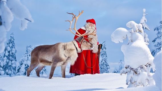 lawatan sehari Perkampungan warga emas dan Bulatan Artik di Rovaniemi, Finland (Seluncur Husky & Rusa)