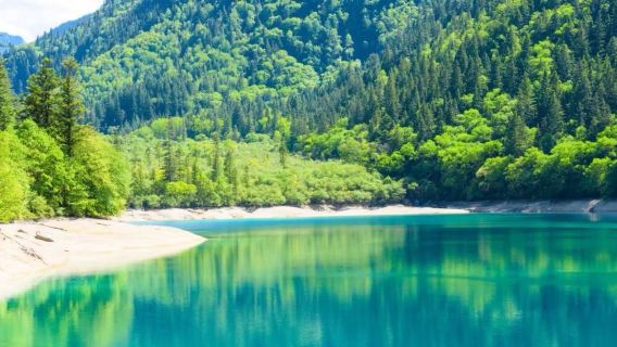 九寨溝-黃龍九寨高鐵站接駁車【商務車·免費上門接駁】正規車輛·車站接人/送至車站都有「5座7座9座包車可選」