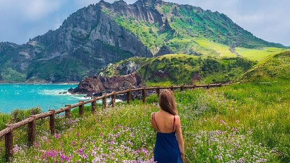 Jeju island Eastern UNESCO site Full Day Guided Tour