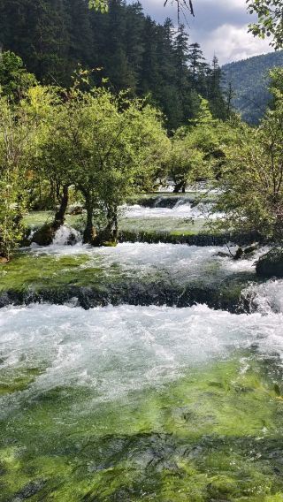Songpan high-speed rail station - Huanglong National Scenic Area - Jiuzhaigou [5/7/9-seat private charter], admission ticket not included