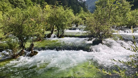 Estación Songpan -- Huanglong -- servicio de bus lanzadera; también se ofrece la posibilidad de traslado en coche compartido o servicio de coche privado con conductor.