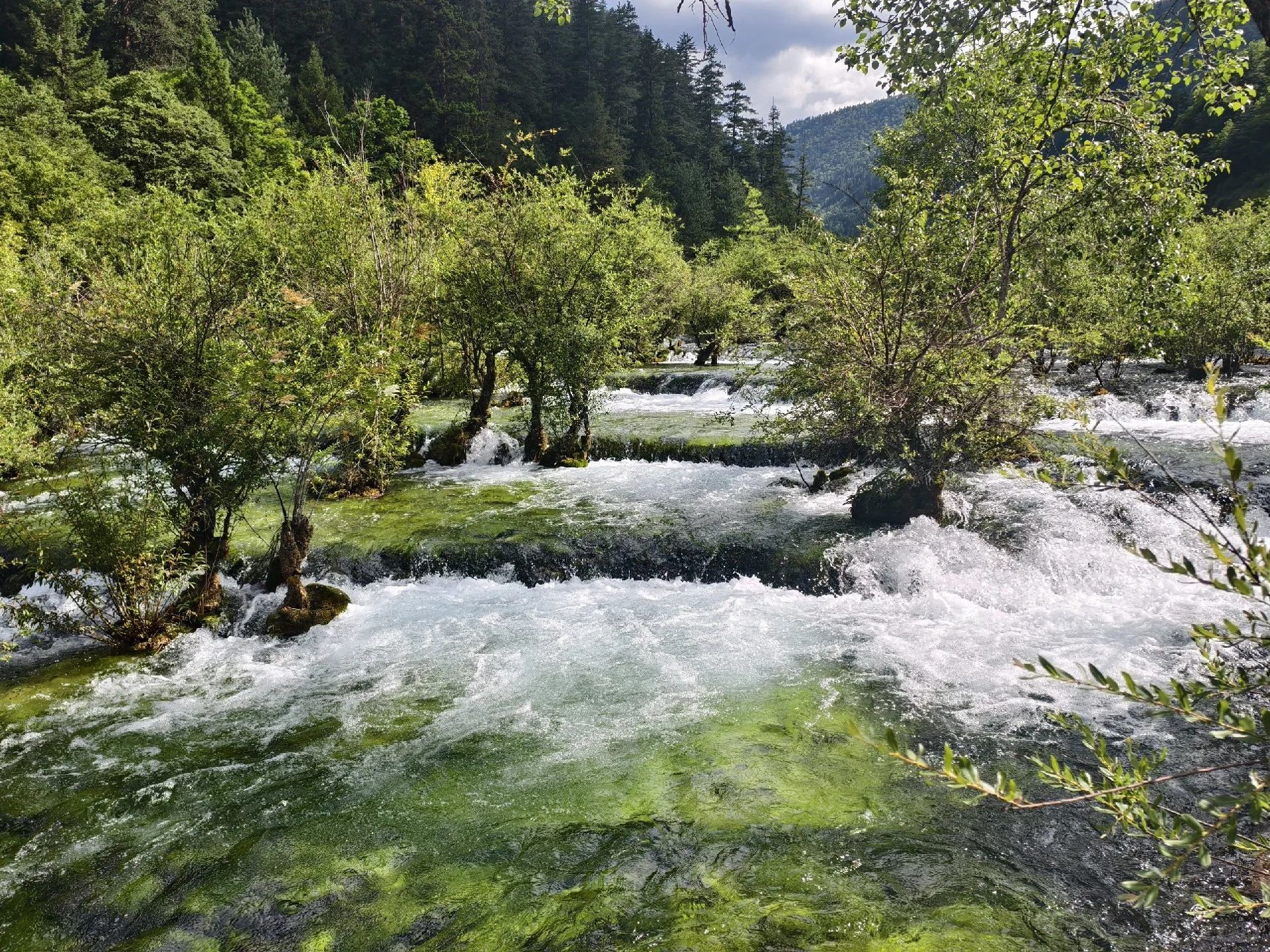 Songpan - Huanglong - Jiuzhaigou servicio de bus lanzadera, opciones de traslado en coche compartido o servicio de coche privado con conductor