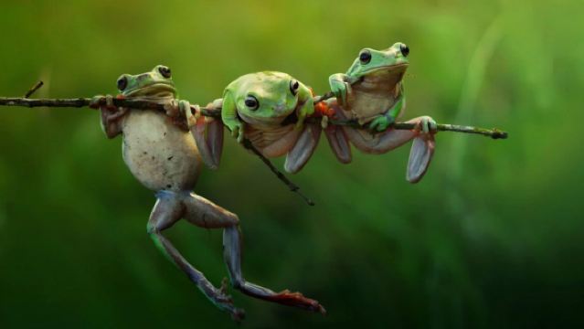 대만 관광전용셔틀{관광국 주도}~ 대산성 투어[카풀.2인 출발}