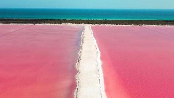 墨西哥坎昆粉紅湖+火烈鳥+坎昆海灘【中文私家包車+諮詢優惠】