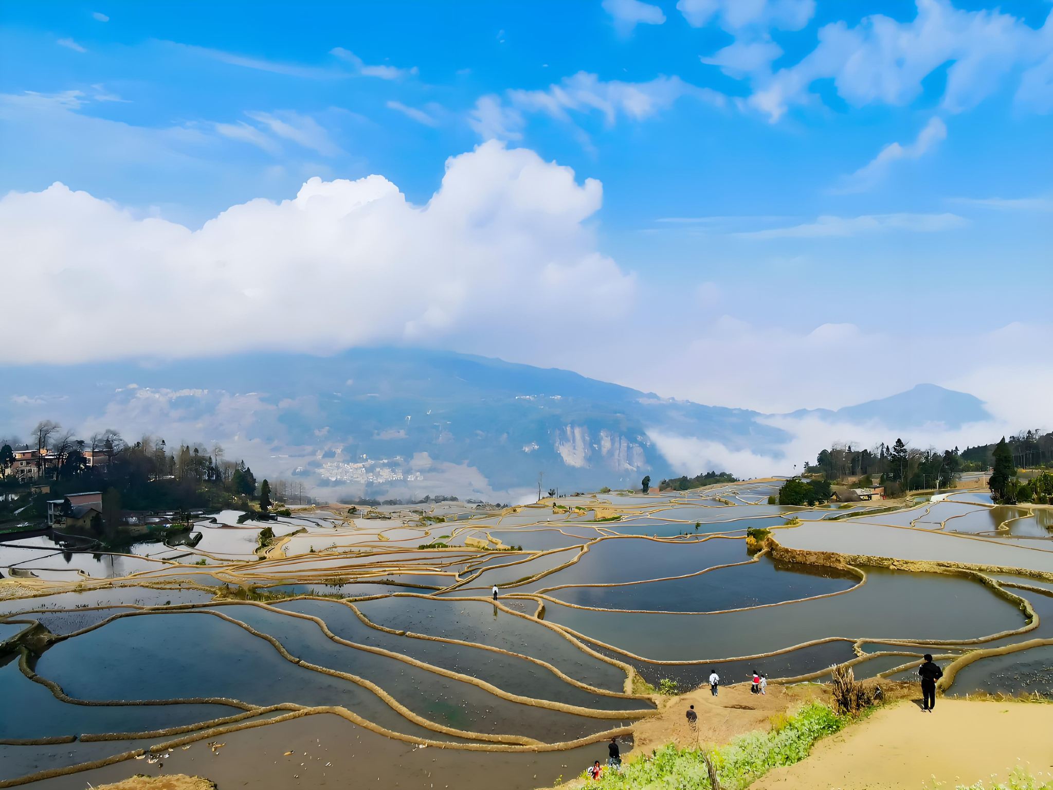 윈난의 숨은 보석! 위안양 하니 계단식 밭 젠수이 고성 전세 차량 투어