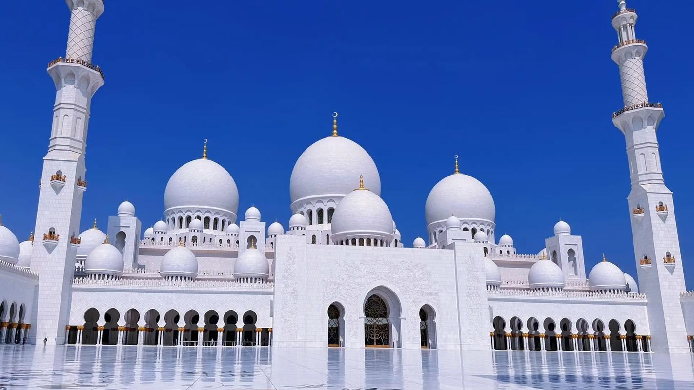 Louvre di Abu Dhabi + Palazzo Presidenziale + Gran Moschea dello Sceicco Zayed [Noleggio con conducente esclusivo premium - Cinese]