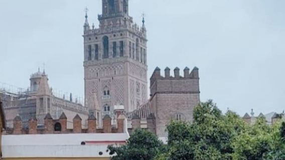 산타크루즈 세비야: 가이드 도보 투어