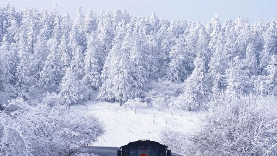 【純玩8人小團】武隆仙女山國家森林公園+烏江觀景台一日遊