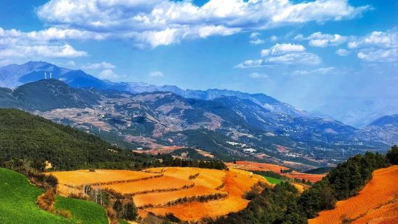 Fotografie-Tagesausflug zu den roten Feldern von Dongchuan, Luoxia-Graben und dem tausendjährigen Drachenbaum in Kunming | Abholung innerhalb des dritten Rings inbegriffen