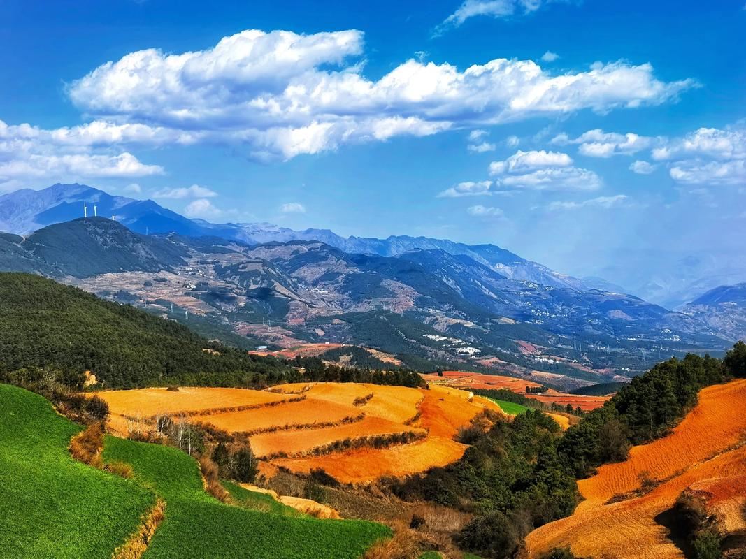 Kunming Dongchuan Red Land + Luoxia Valley + Millennium Abies photography 1-day tour with pickup within the third ring road