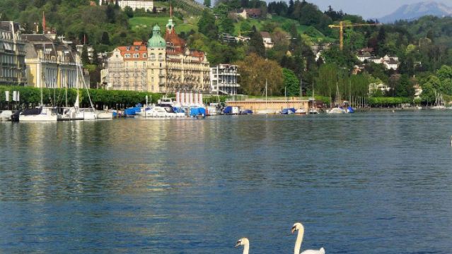 瑞士林登霍夫山+班霍夫大街+三大教堂+蘇黎世湖+蘇黎世美術館