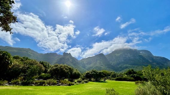 南非開普敦 桌山+好望角+坎普斯海灘 包車一日遊
