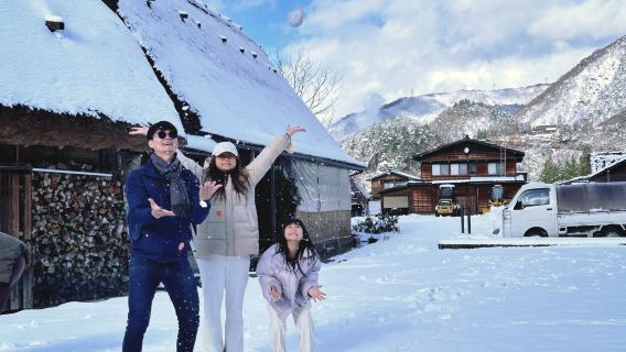 Однодневный тур в Нагою и Сиракава-го + Хида Такаяма с опциональным обедом из мяса Хида