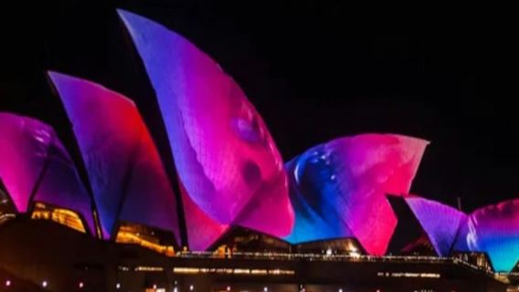 Sydney: Crociera con Cena a Vivid Sydney
